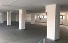 Spațiu Comercial de închiriat | 612 mp+Terasă | 10 Parcări | Corneliu Coposu - 4