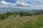 Teren inconjurat de natura de vanzare in Pestera - 8