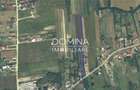 Vânzare teren 6292 mp, situat în cartier Preajba, str. Frăsinetului - 2