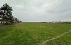 Teren 157.000mp Mogosesti | Giurgiu - 1