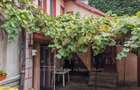 Tepes Voda Hala Traian casa 2 camere 47 mp , curte libera 25 mp, 68000 eur - 1