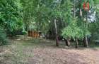 Comision 0% Teren de vanzare 6000 mp cu iesire la Lac Surduc - 7