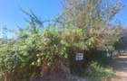 Teren Intravilan, 580 mp, zona Central - Viisoara