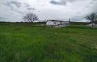 Teren constructie P+M, Sura Mare- Hamba, 717mp, utilitati - 5