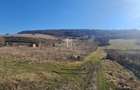 Teren 1000 Mp Intravilan De Vanzare, Langa Lac, Ivanesti - 3