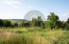 Casă individuală cu teren generos 1.400 mp | Sfântu Gheorghe - 10