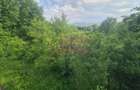 Vila de vanzare cu 6 camere in Cornu (teren 6.600 mp) - 43