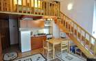 Apartament cu 1 cameră la casa in zona Balcescu - 3