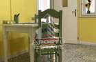 Apartament ultracentral, complet renovat in Timisoara - 11