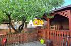 Casa pentru 2 familii, 7 Camere, 2 Garaje, 1500MP Teren - 6
