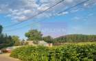 VANZARE TEREN 2150 MP IN SAT TEISORI (GR) - 9