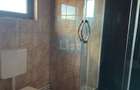 Proprietate cu doua imobile, com Dragutesti. Comision 0% - 15