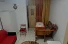 Apartament cu 1 camera in Tudor Vladimirescu - 4