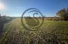 Teren intravilan de vanzare | 12.650 mp | Ghirdoveni, | Comision 0% - 4