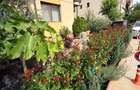 Apartament 3 camere, 2 băi + grădină + loc de parcare - 130.000 € negociabil - 5