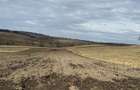 Teren intravilan | 16 ari | Horodnic de Jos – zona Călugărița - 2