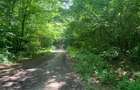 46644 mp teren in Padurea Baneasa proiect exclusivist - 11