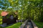 Mountain Chalet | Private Resort | Investment - Nistoresti - 2