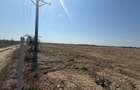 vand teren autostrada Bucurest Pitesti A1 30000 mp (3ha) cu deschidere la A1
