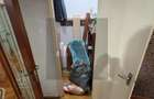 Apartament 3 camere  / PetFriendly - 5