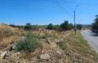 Teren intravilan 14.168 mp – pozitie excelenta la intrarea in Braila - 9