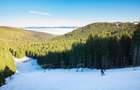Casă montană cu 3.000 mp teren | Dorna Arini – lângă Vatra Dornei - 8