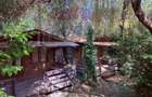 Ansamblu de 7 Căsuțe de Vacanță, Ocna Șugatag - 2