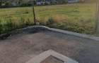 5200 sau 2600 mp teren vanzare,direct proprietar, parcelabil, apropiere Arinis - 11