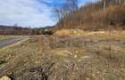 Vanzare teren 3200 mp, Cheile Rasnoavei, str. Cheisoara - 3