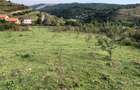 Teren Intravilan cuprins in PUG, 5100 mp, Tauti - 3