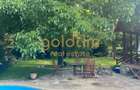 CASUTA DIN POVESTI/CURTE 1100MP/GRADINA MAGICA/SAUNA/PISCINA/SNAGOV - 40