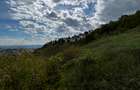 Teren Piatra Neamt , zona Fermelor - strada Smaraldului - 3