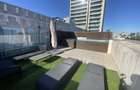 Penthouse, 5 camere, piscina proprie, zona  Kiseleff - Arcul de Triumf. - 20