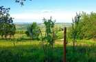 Teren intravilan 1340mp ideal pentru casa in Sat Gheorghieni! - 4