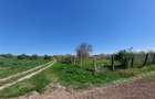 Teren pentru dezvoltare rezidentiala langa padure, in Pischia - 5