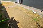 Apartament 2 camere + Curte proprie - La cheie - Incalzire prin pardoseala - 5