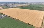 REL4001001 Teren Tunari  - planul 2 l Padurea Tunari - 5