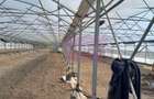 VANZARE TEREN 3100 MP - SAT ROSIORI (IL) - 13