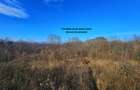 Teren intravilan 2.000 mp – Seciu, 2 deschideri, Priveliște panoramica - 6