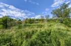 CONAC | 4ha DE TEREN | Clădire la roșu pretabilă Agropensiune în Șard - 18