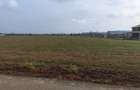 Dragomiresti Valea - Langa Centura, teren 31.200 mp, 28E/mp - 6