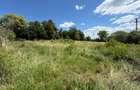 Teren intravilan 1.000 mp in Cisnadioara / jud. Sibiu - 3