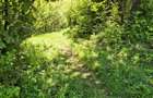 Teren intravilan 1577 mp, Schei Brasov - 7