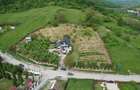 VILA DEOSEBITA IN SLATINA - LUNCANI - OAZA DE LINISTE LA MARGINEA PADURII - 2