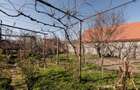 RECO Casa 3 camere, zona Valenta, singur in curte, acces auto - 29