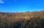 Teren intravilan 2.000 mp – Seciu, 2 deschideri, Priveliște panoramica - 9