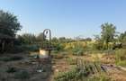 Teren intravilan 2.400 mp în Băilești 24 m deschidere la strada - 3