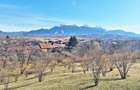 Comision 0%! Teren superb de 17000mp la 5 min de Castelul Bran, 13 eur - 11