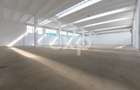Hală industrială de închiriat – 1.002 mp utili | Calea Moinești | Acces TIR - 7