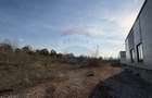 Spatiu industrial 6669 mp vanzare in Hală, Constanta, Valu lui Traian - 7